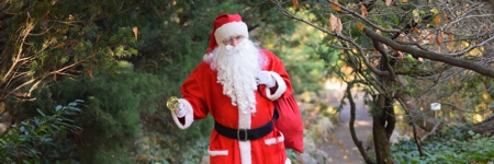 Mikołaj w Ogrodzie