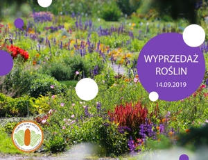 Wyprzedaż 2019