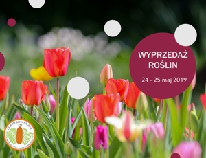 Wyprzedaż nadwyżek roślin 2019